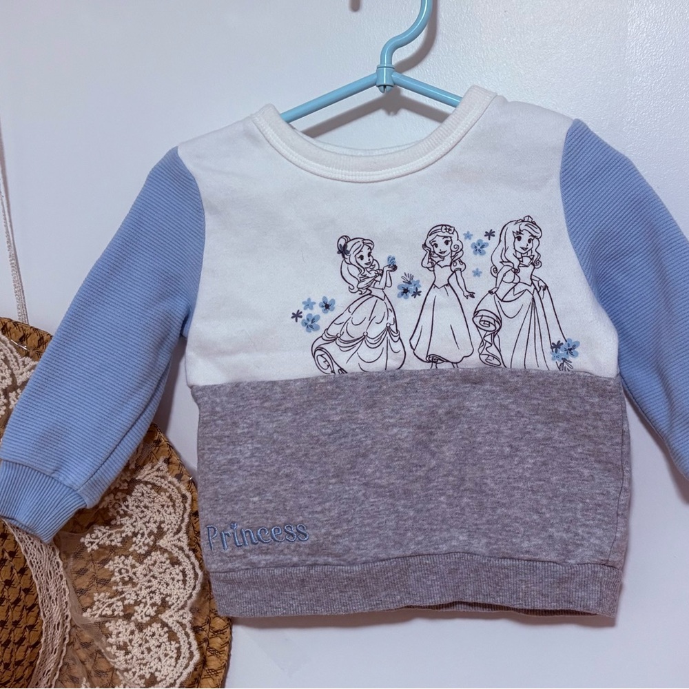 Disney Princess Sweatshirt - White, Gray, and Blue